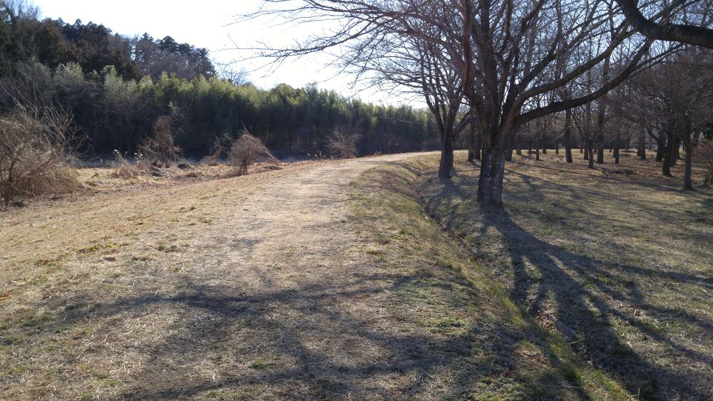 木曽義仲ゆかりの里山の道の写真7