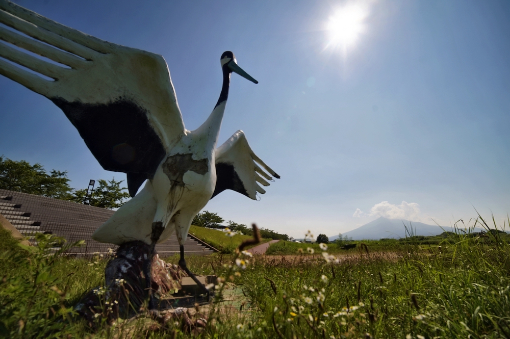 「ツルの町」鶴田町まるごと堪能コースの写真6