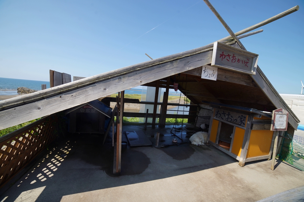 海の幸や汐風を感じる鯵ヶ沢町コースの写真3