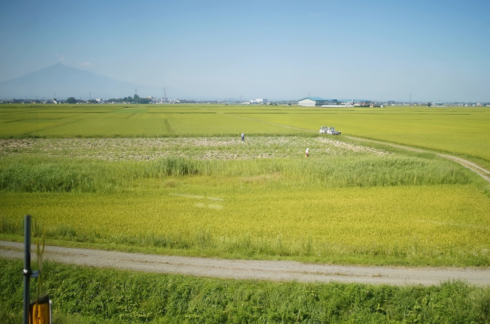津軽鉄道と太宰治とねぶたを楽しむ五所川原コースの写真4