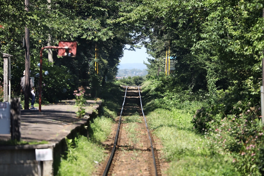 津軽鉄道と太宰治とねぶたを楽しむ五所川原コースの写真5