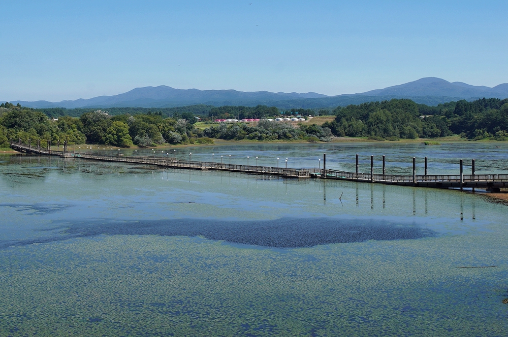 津軽鉄道と太宰治とねぶたを楽しむ五所川原コースの写真6