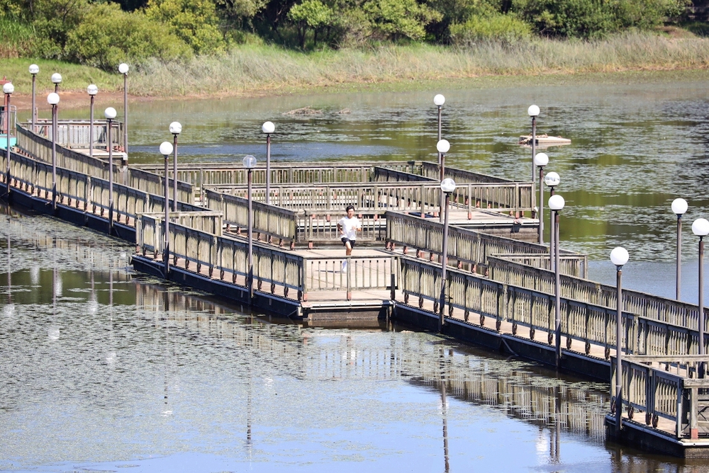 津軽鉄道と太宰治とねぶたを楽しむ五所川原コースの写真7