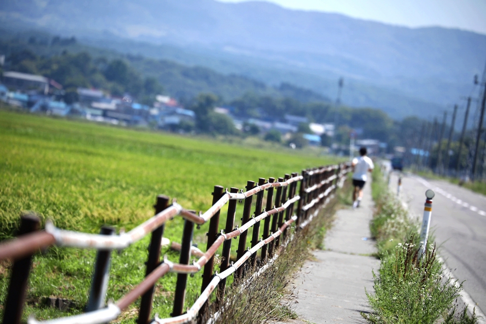 津軽鉄道と太宰治とねぶたを楽しむ五所川原コースの写真9