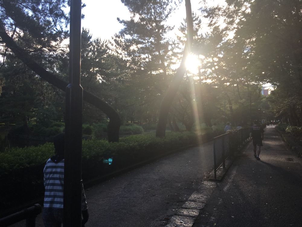 名城公園10周　第15回「ゼントリップ」ヤッソ800の写真3