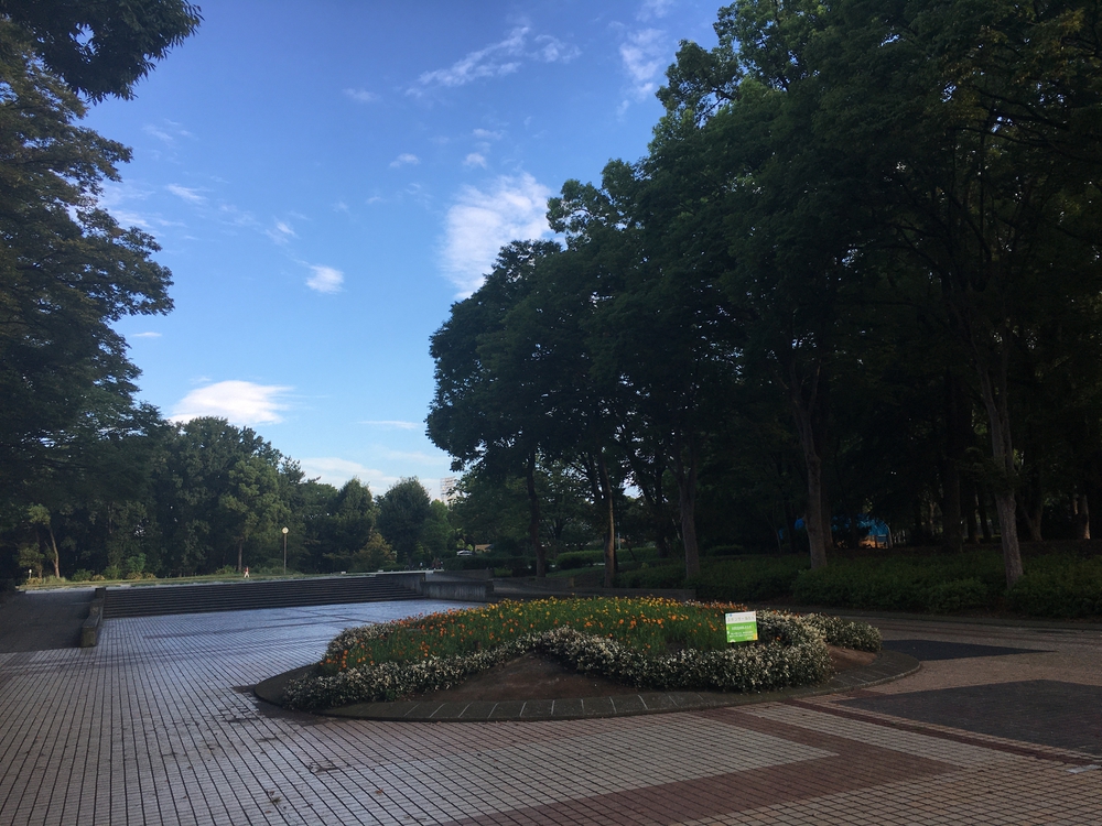 名城公園10周　第15回「ゼントリップ」ヤッソ800の写真4