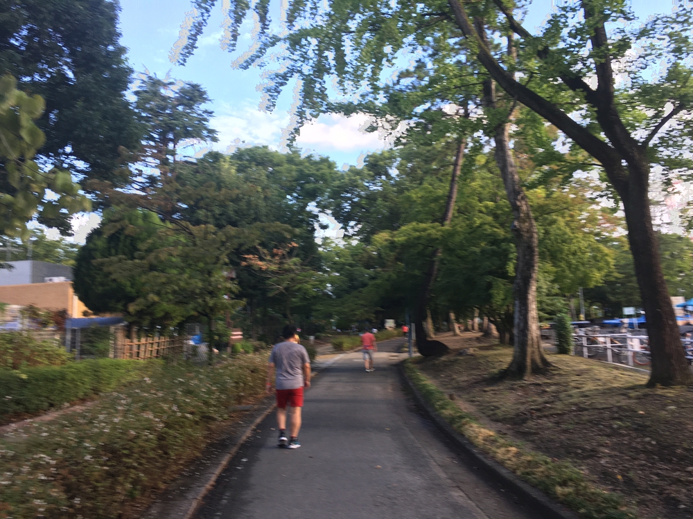 名城公園10周　第15回「ゼントリップ」ヤッソ800の写真5