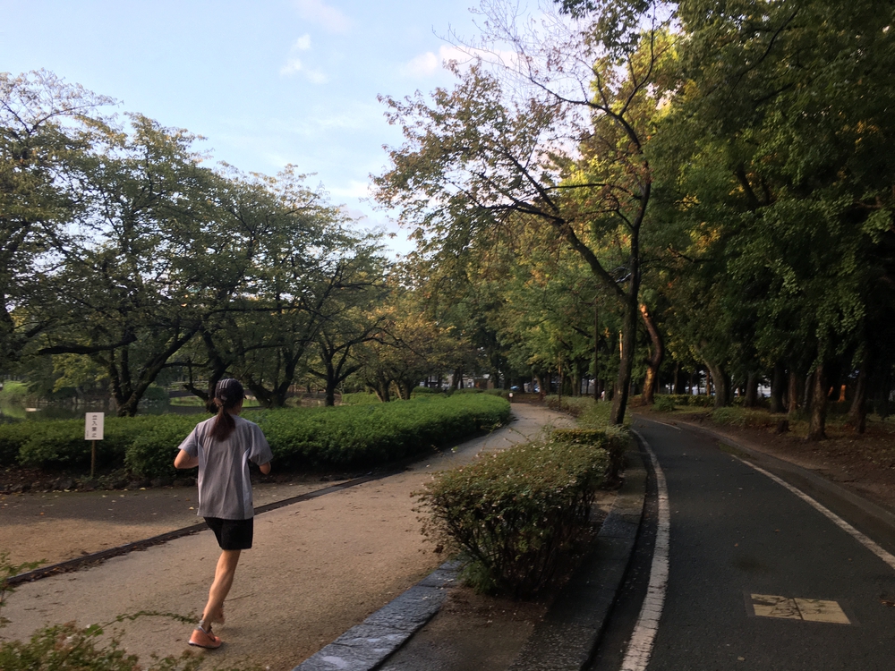 名城公園10周　第15回「ゼントリップ」ヤッソ800の写真6