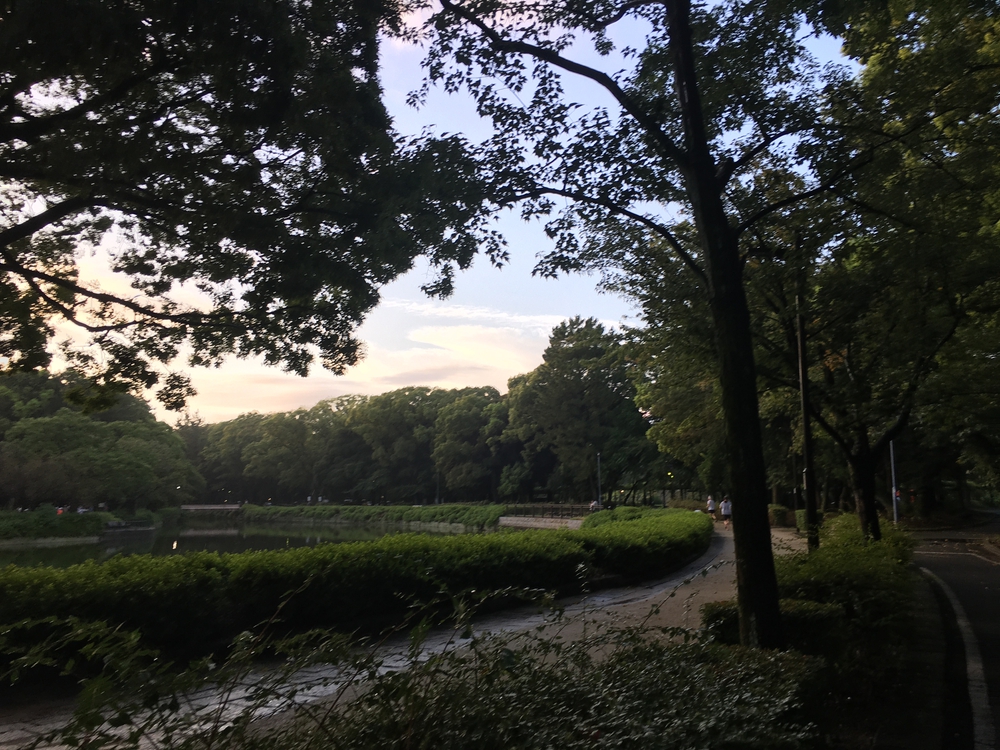 名城公園10周　第15回「ゼントリップ」ヤッソ800の写真7