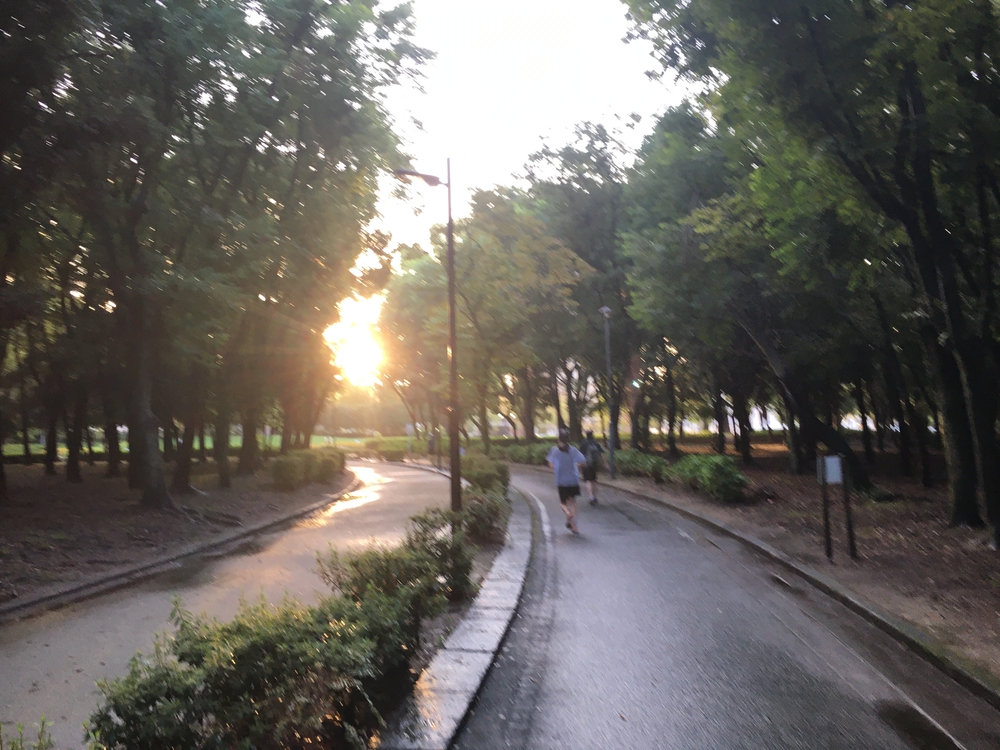 名城公園10周　第15回「ゼントリップ」ヤッソ800の写真8