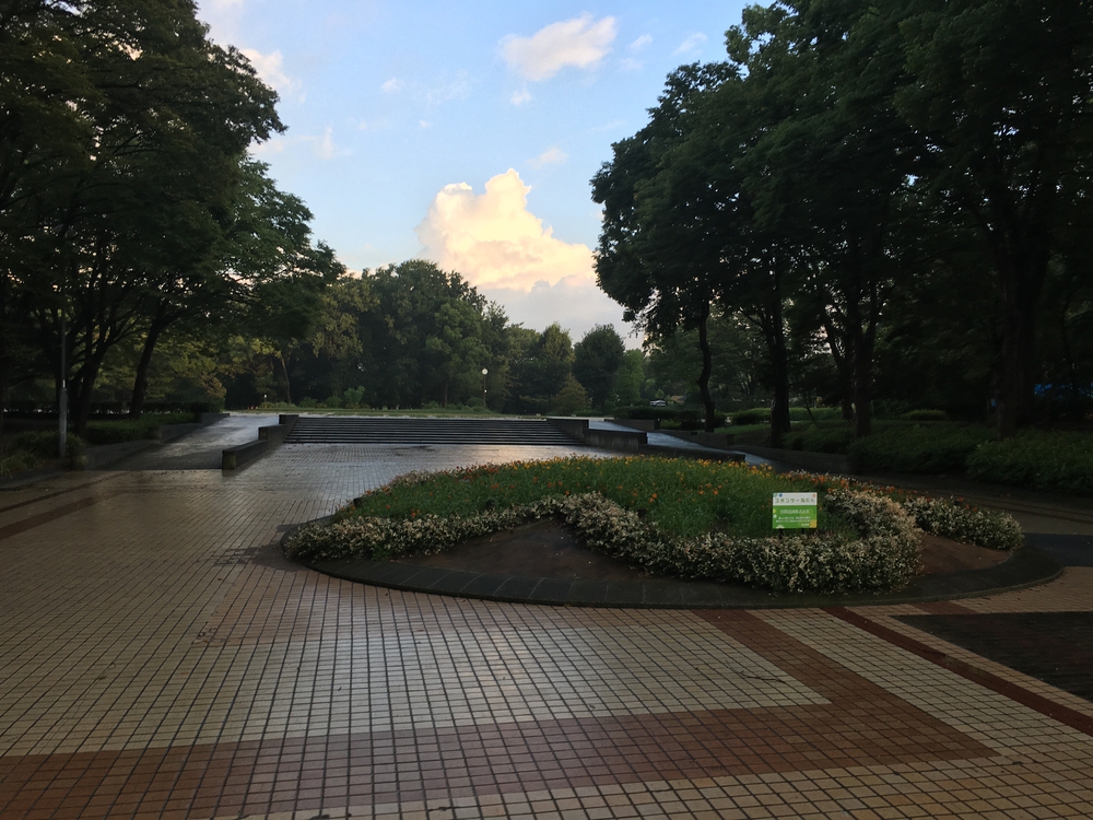 名城公園10周　第15回「ゼントリップ」ヤッソ800の写真10