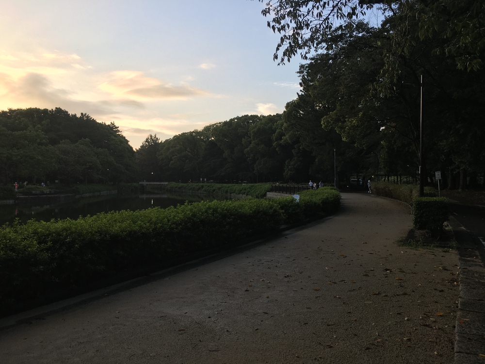 名城公園10周　第15回「ゼントリップ」ヤッソ800の写真11