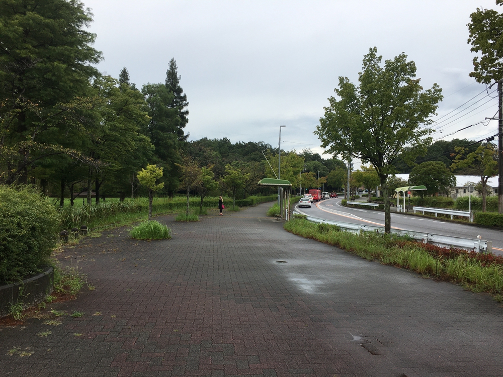 第5回「ゼントリップ」少しガチランコースの写真4