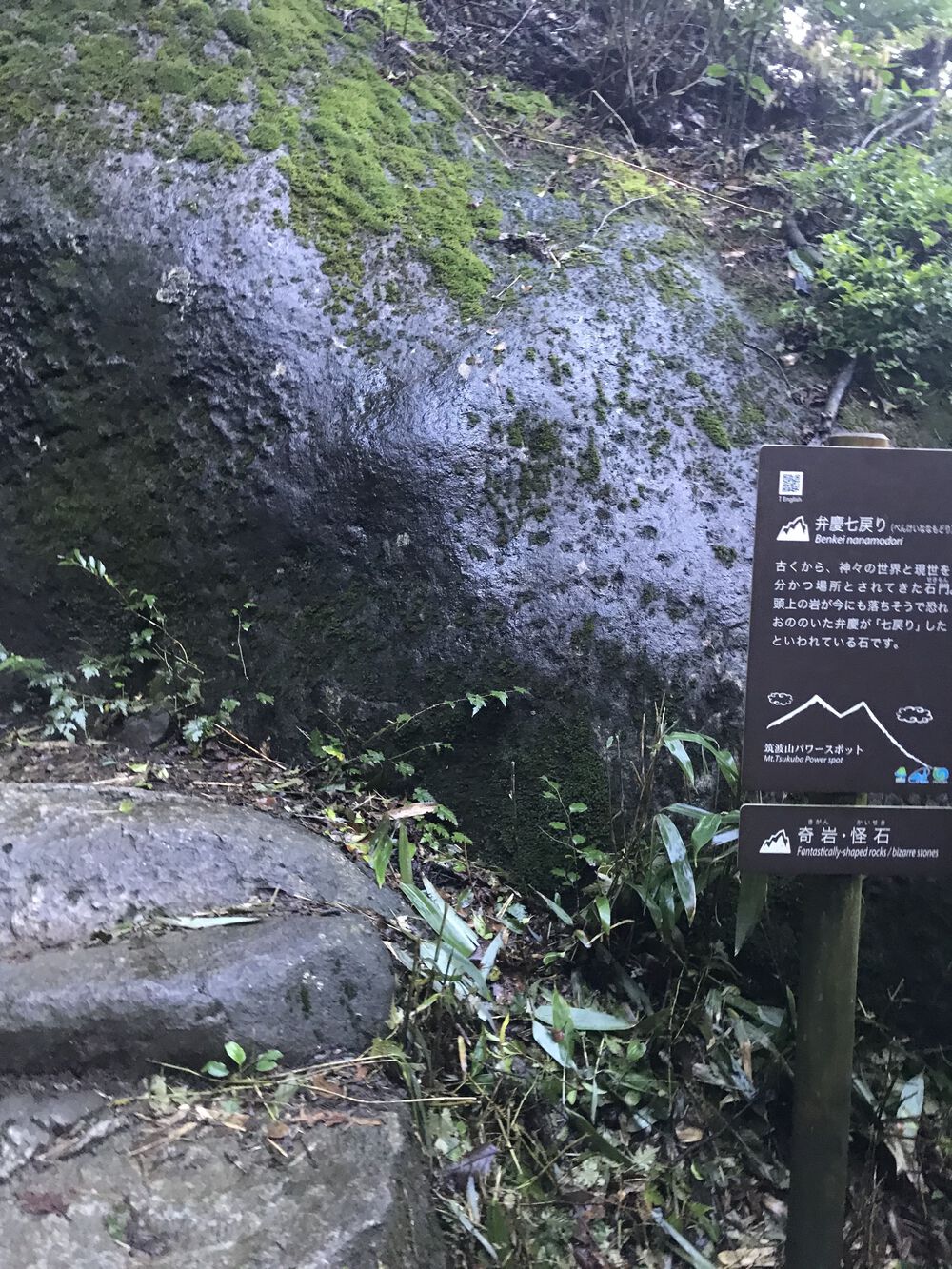 初トレラン！※登りは歩きの写真3