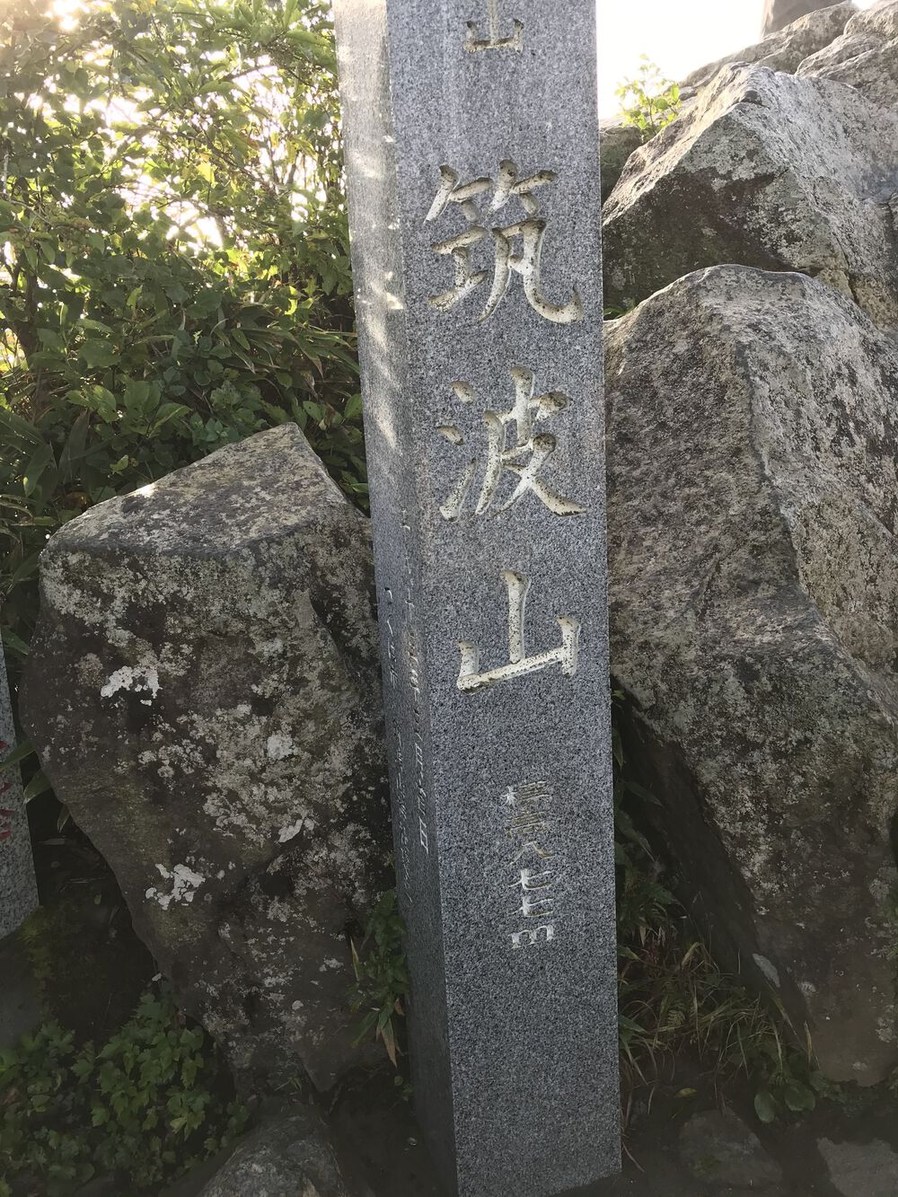 初トレラン！※登りは歩きの写真6