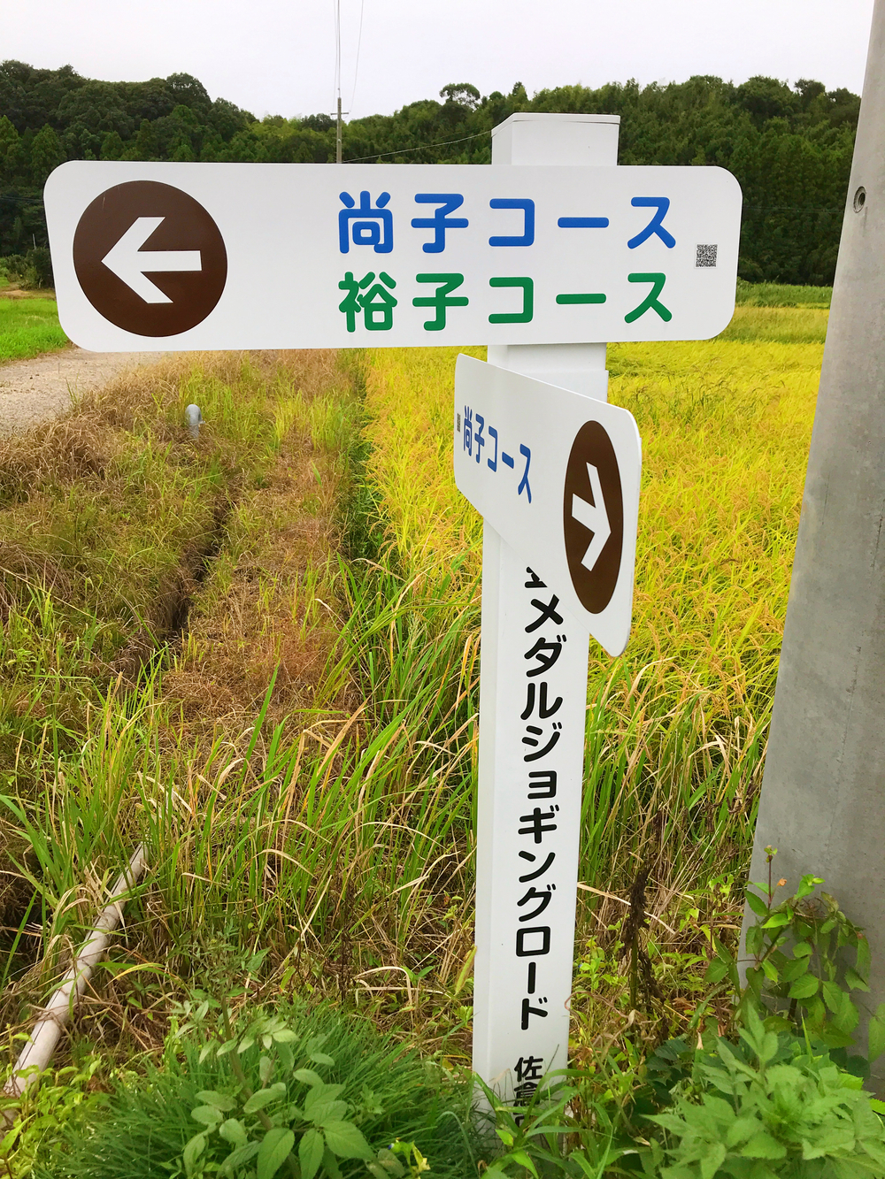 金メダルジョギングロードの写真3