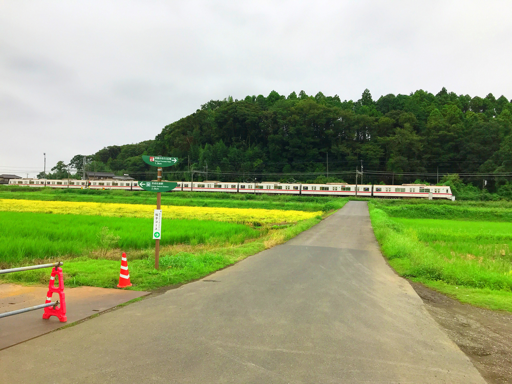 金メダルジョギングロードの写真6