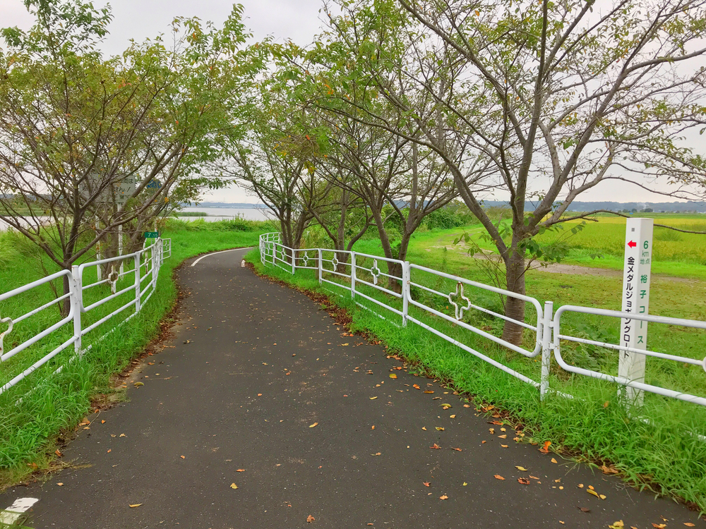 金メダルジョギングロードの写真8