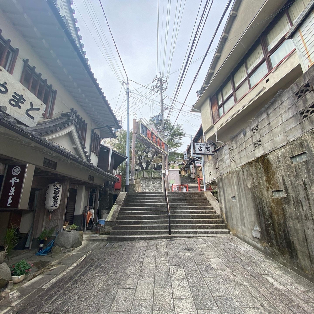 プチトレイル⛰山上遊園地からの眺めは最高でした。の写真4