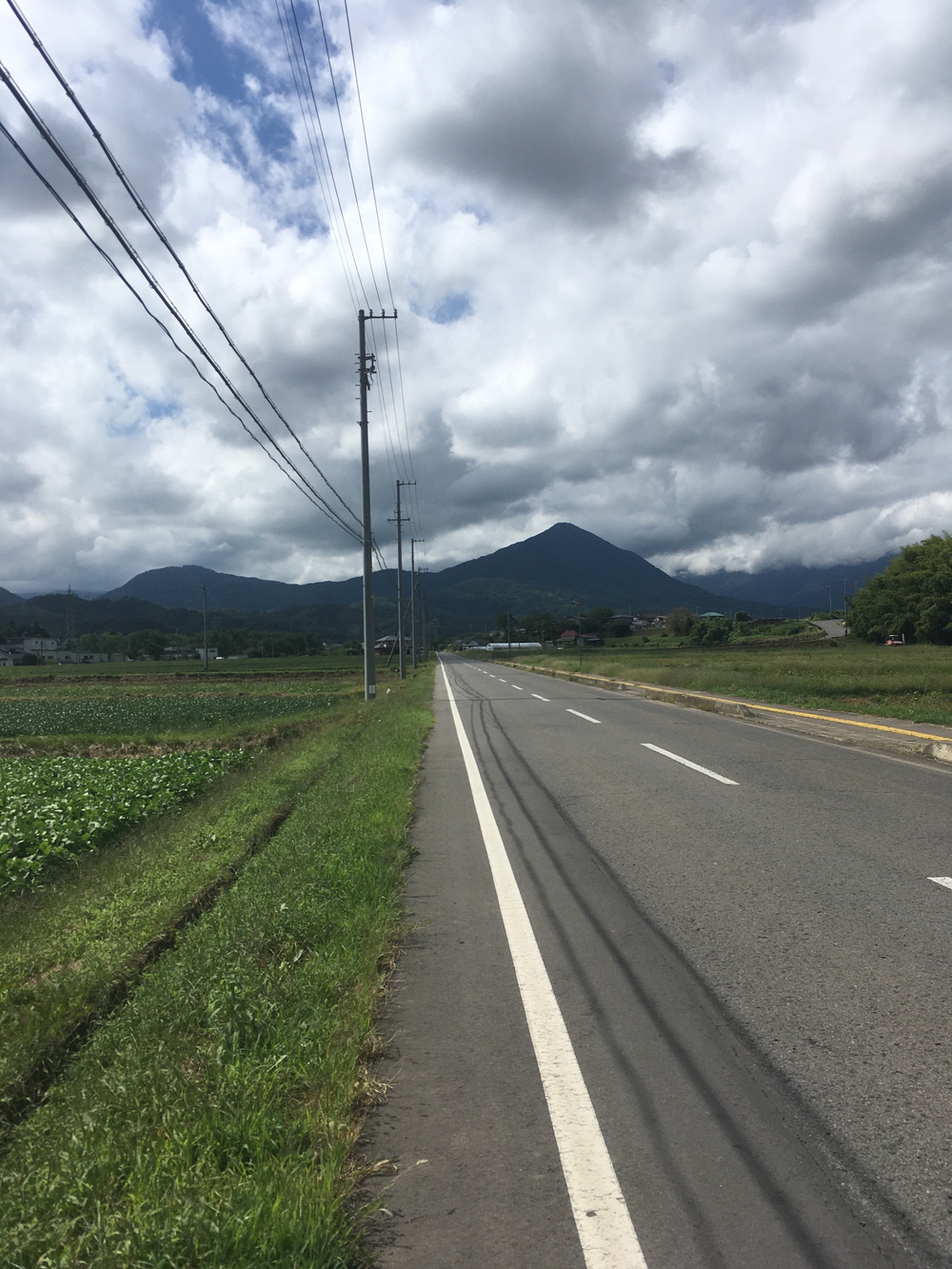 上田古戦場マラソン10kmコース（旧コースかな？)の写真3