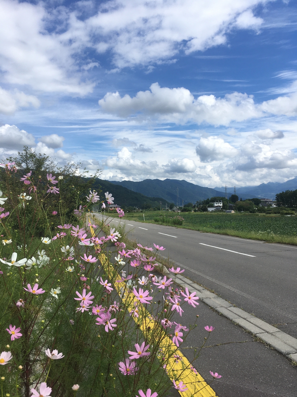 上田古戦場マラソン10kmコース（旧コースかな？)の写真4