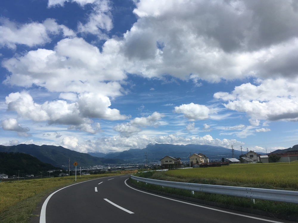 上田古戦場マラソン10kmコース（旧コースかな？)の写真6