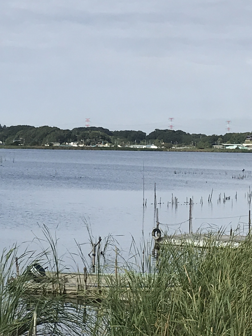 手賀沼半周ジャスト10㎞の写真3