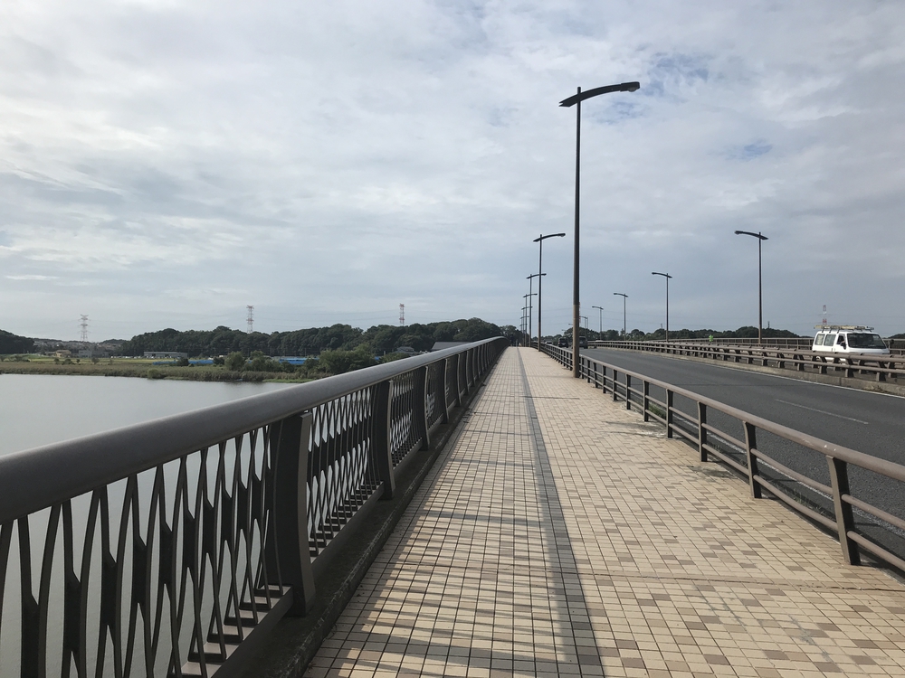 手賀沼半周ジャスト10㎞の写真4