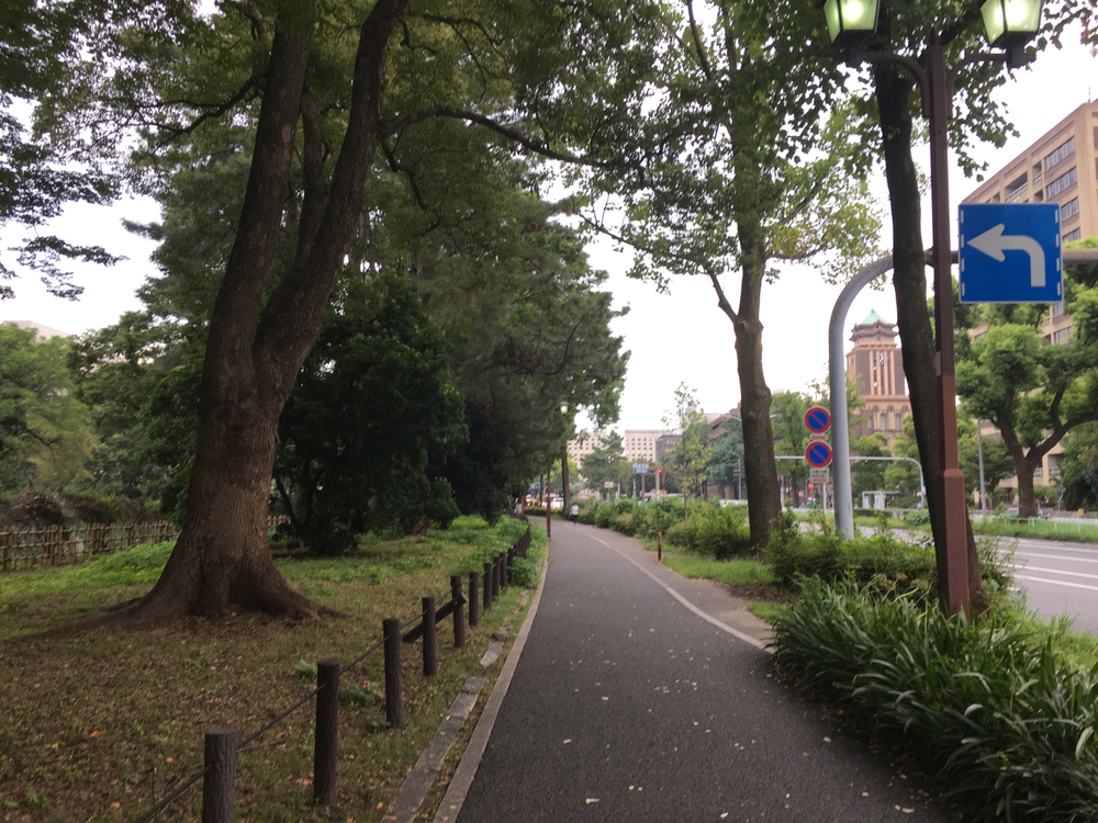 10/7(水)第6回「ゼントリップ」名城公園外周コースの写真7