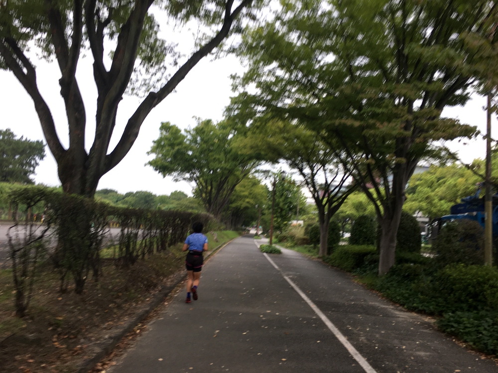 10/7(水)第6回「ゼントリップ」名城公園外周コースの写真9