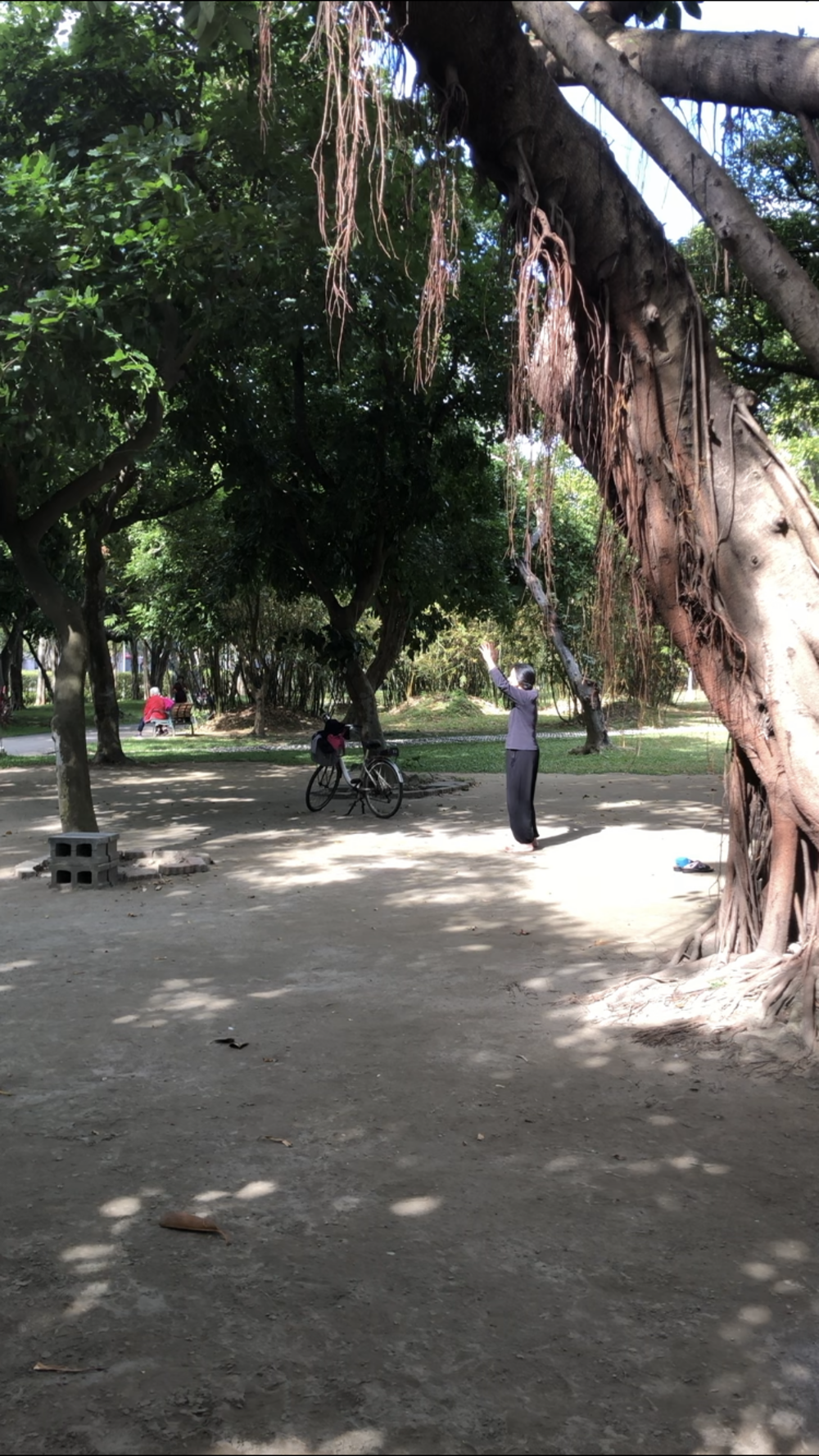 本気の迷子ラン in 台北の写真3