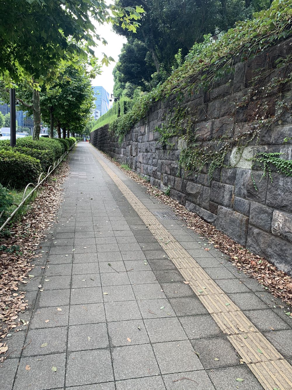 歌川広重と共にRUN 赤坂御所の写真3