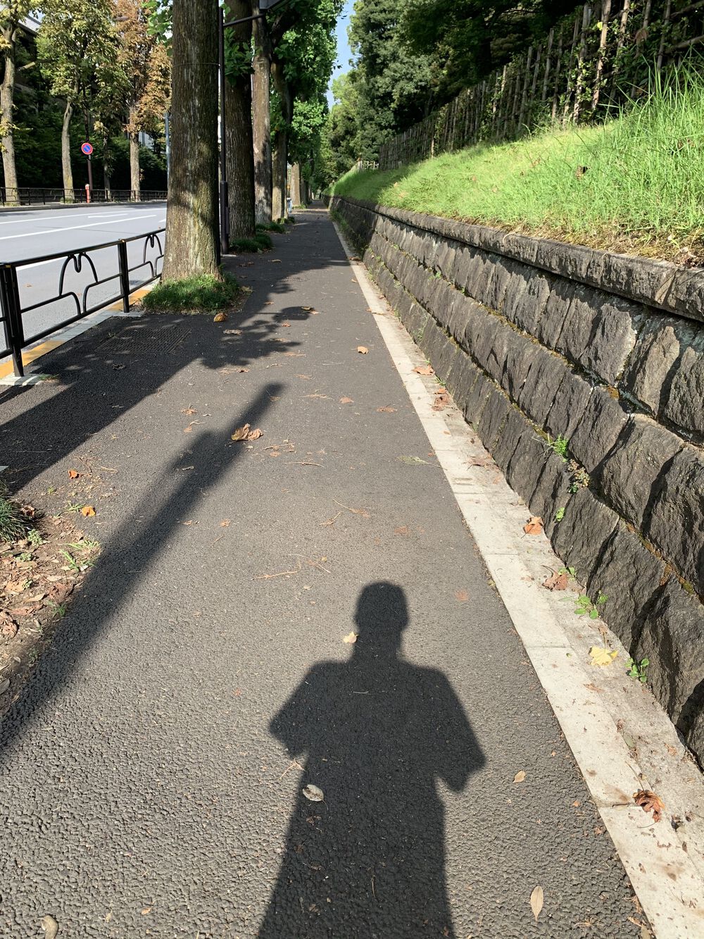 歌川広重と共にRUN 赤坂御所の写真4