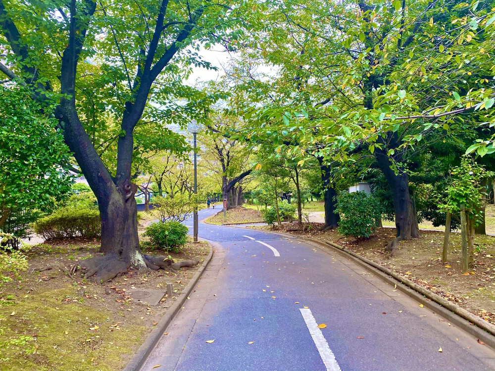 荒川〜仙台堀川〜隅田川の写真8