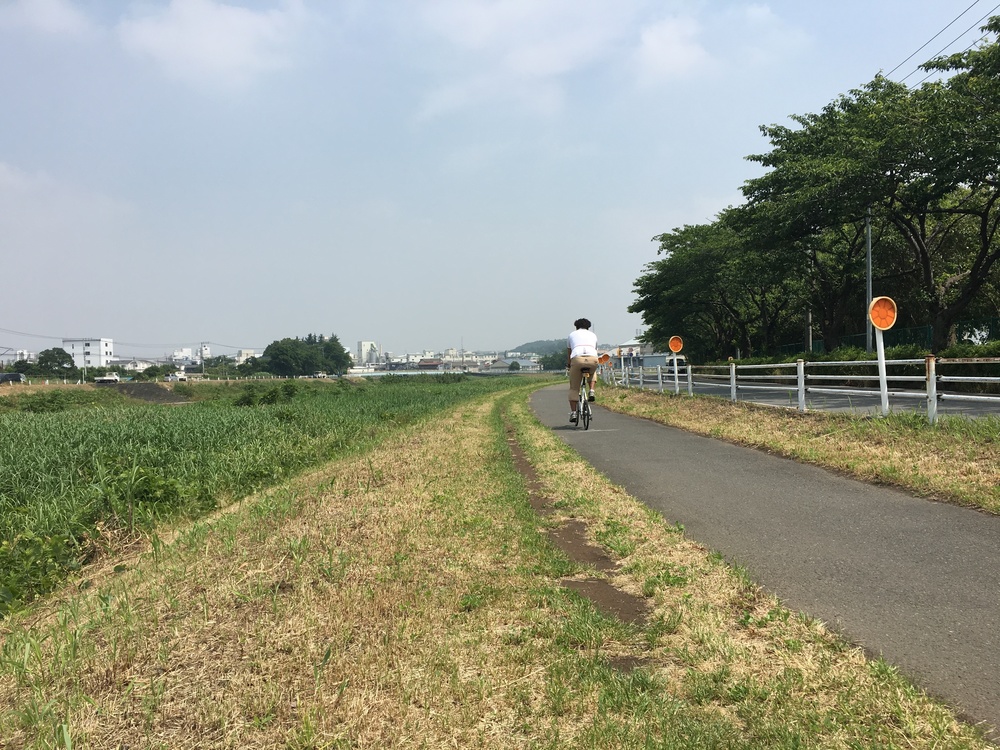 鶴見川沿のんびりしたランニングコースの写真7