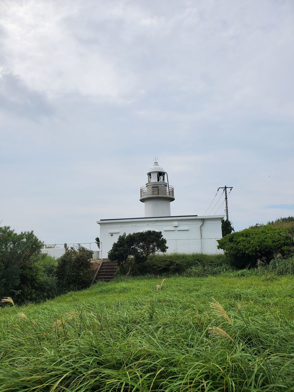 三浦・城ヶ島RUN🏃🏃‍♀️💨の写真5