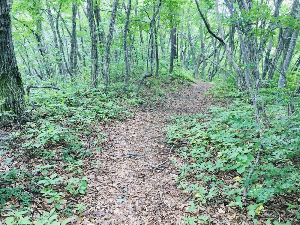 木崎湖湖畔の裸足に優しい小熊山の写真3
