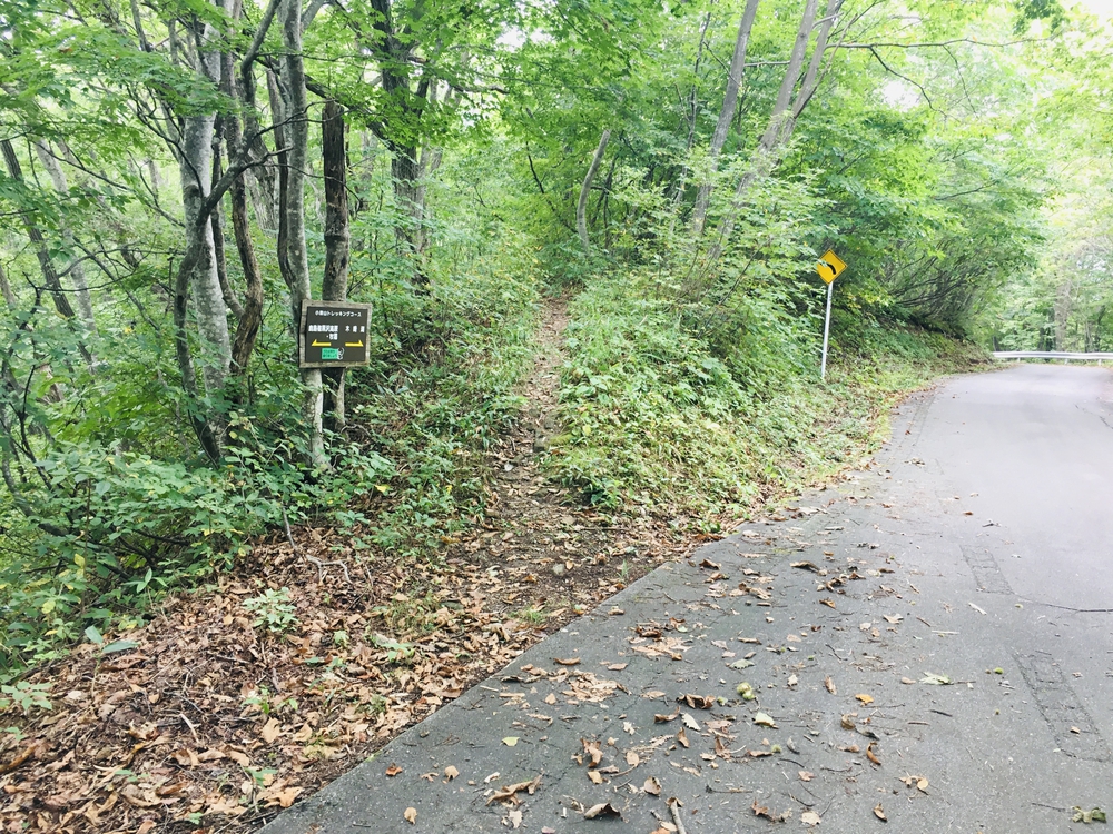 木崎湖湖畔の裸足に優しい小熊山の写真4