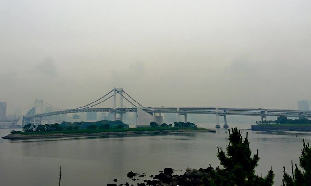 レインボーブリッジを走る！東京絶景ランの写真3