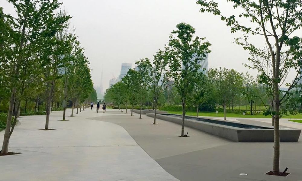 レインボーブリッジを走る！東京絶景ランの写真4