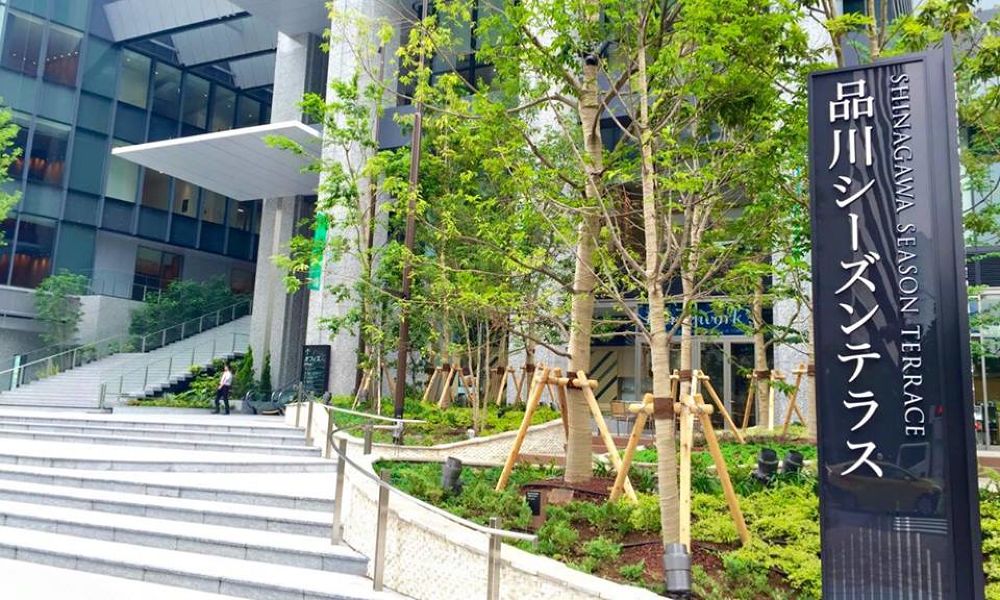 レインボーブリッジを走る！東京絶景ランの写真5