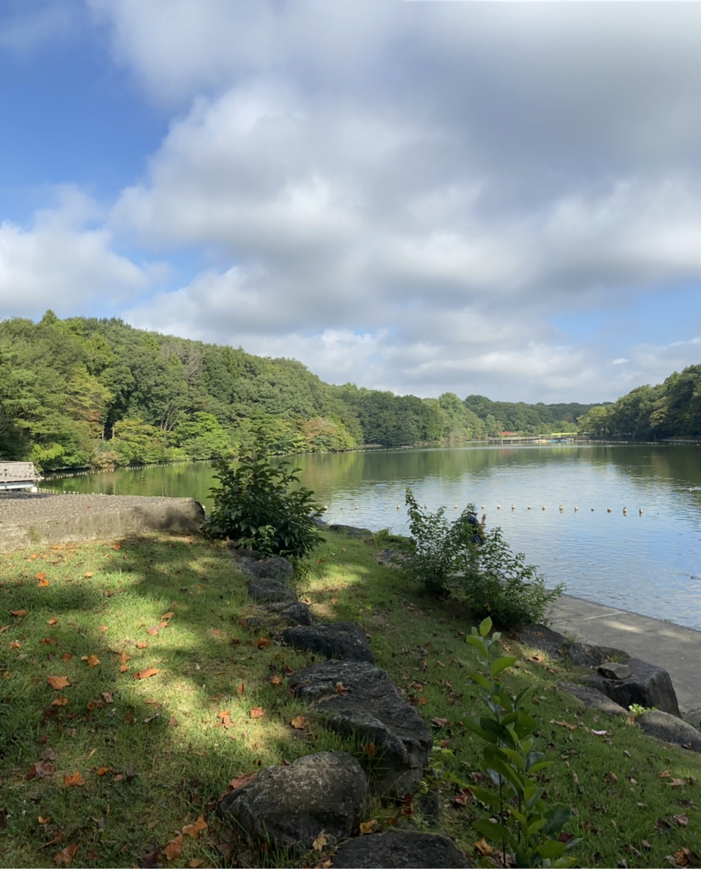 真岡市の井頭公園を走るの写真3