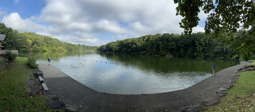 真岡市の井頭公園を走るの写真5