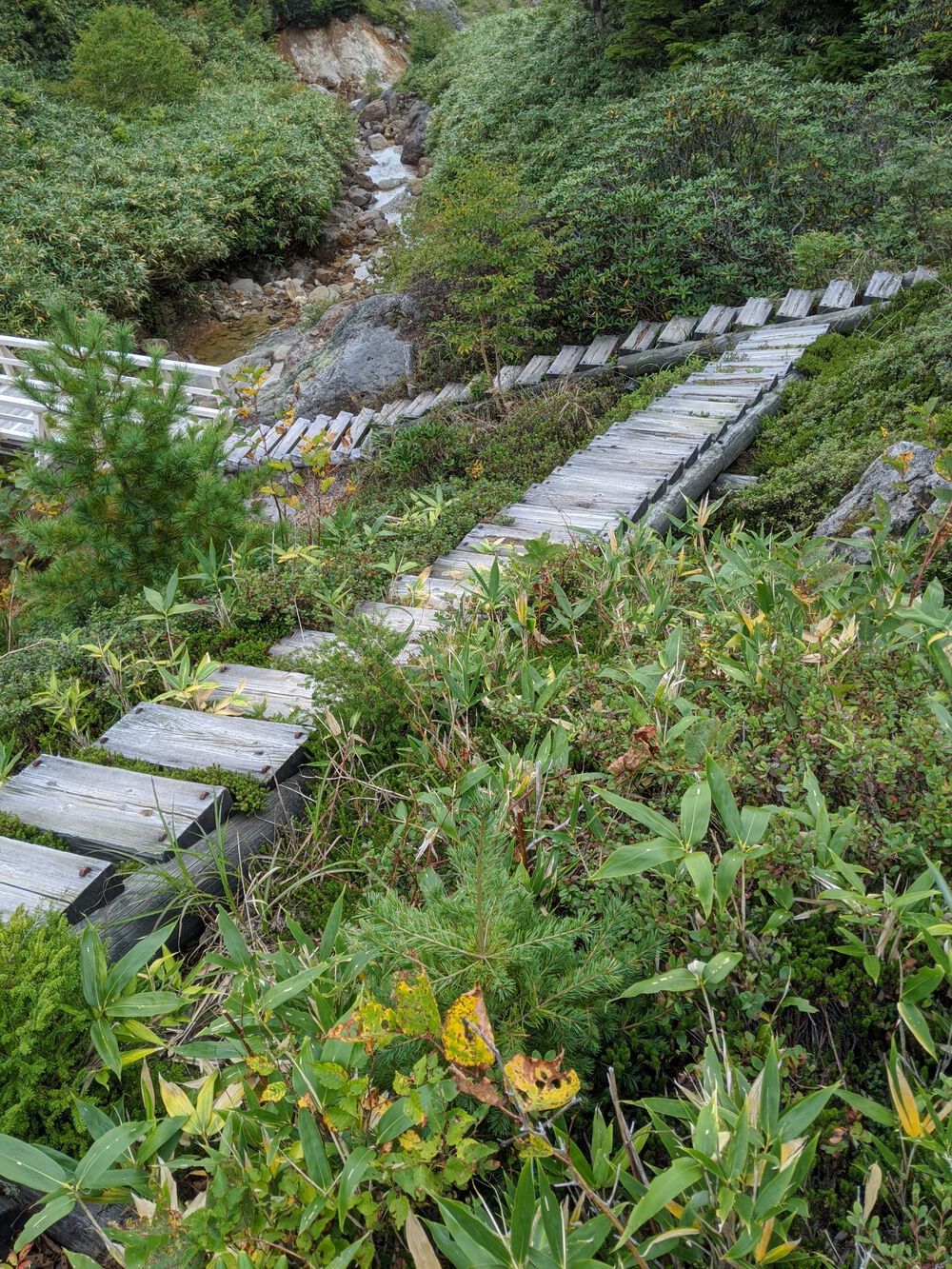 万座温泉、万プリ発着湯畑を周回の写真18