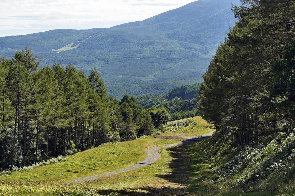 森林浴と眺望が楽しめる姫木平8kmハイキングコースの写真3