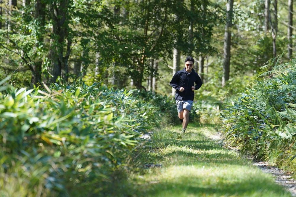 森林浴と眺望が楽しめる姫木平8kmハイキングコースの写真4