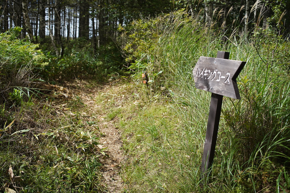 森林浴と眺望が楽しめる姫木平8kmハイキングコースの写真5