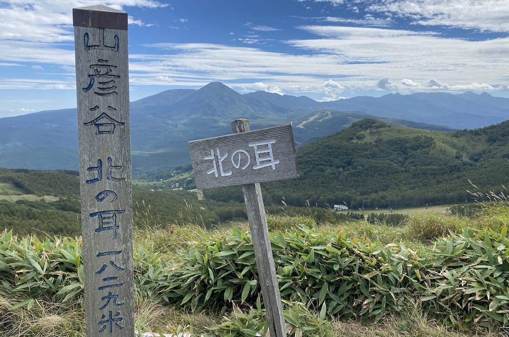 森林浴と眺望が楽しめる姫木平8kmハイキングコースの写真8