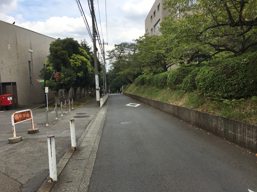 茅ヶ崎ー渋谷66㎞ランの写真9