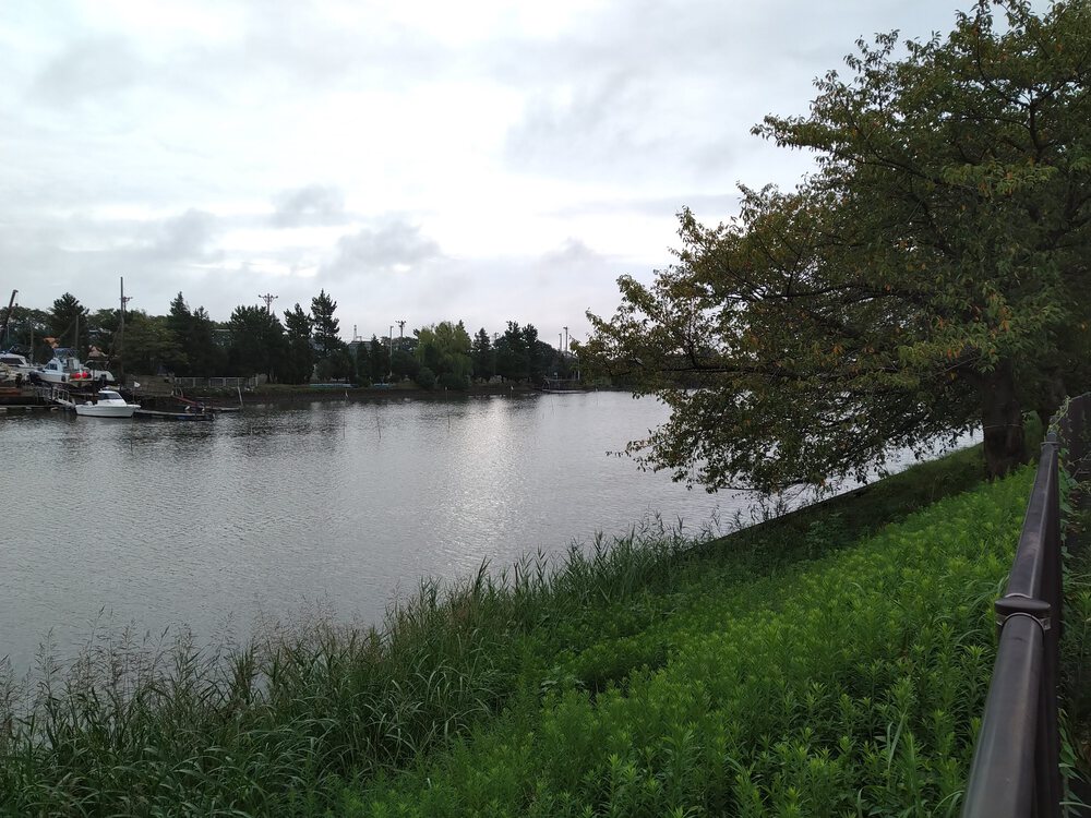 江戸川区　葛飾区　川沿いラン　プラスで水元公園の写真5